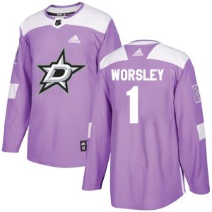 Gorgeous Adidas Stars #1 Gump Worsley Purple Authentic Fights Cancer Stitched NHL Jersey to elevate your fan gear collection